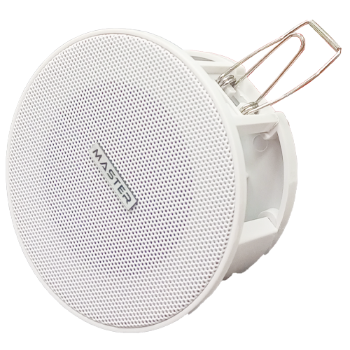 Speaker Master Team 206LM 6w in spot 10cm